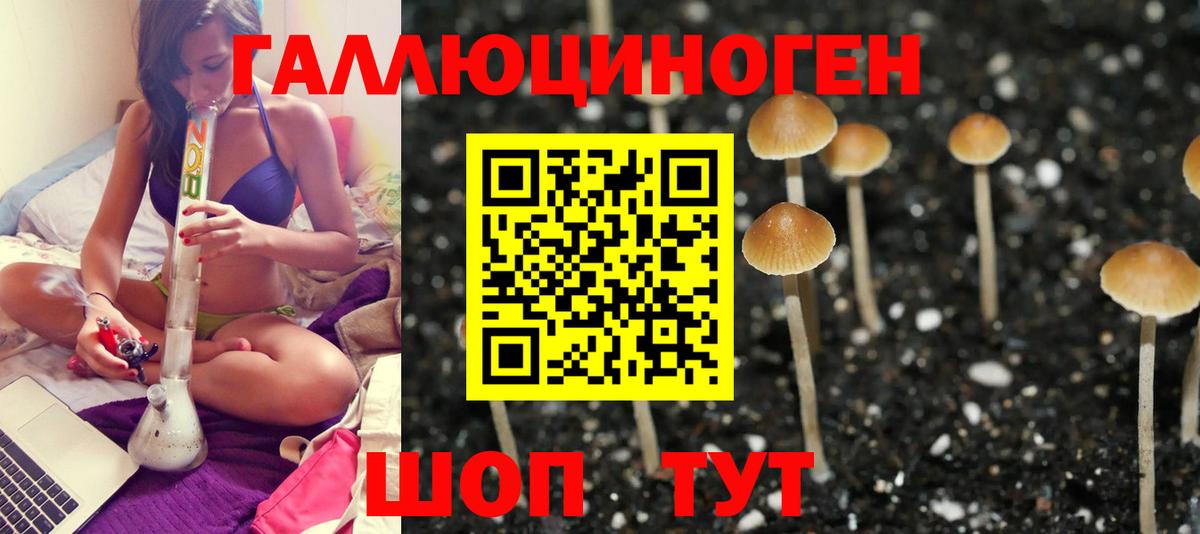 Галлюциногенные грибы ЛСД  Галлюциногенные грибы Psilocybine cubensis  Орехово-Зуево  цены   Вход с VPN 